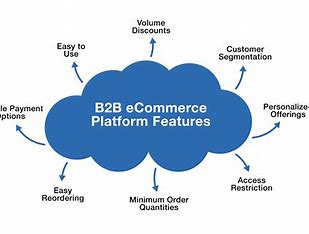 B2B Platform